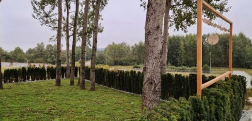 Kraków będzie miał ekologiczną kwaterę pochówkową