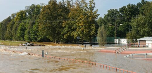 IMGW: Fala kulminacyjna na Odrze w Brzegu Dolnym [RELACJA NA ŻYWO]