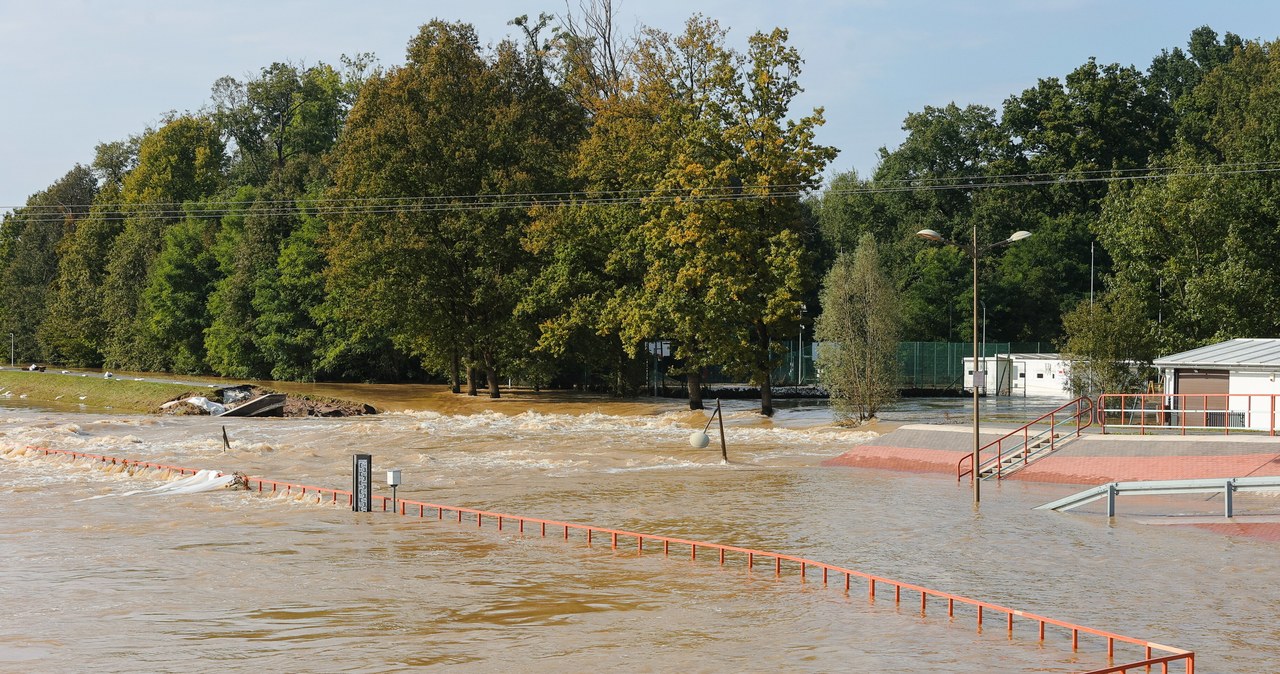 IMGW: Fala kulminacyjna na Odrze w Brzegu Dolnym [RELACJA NA ŻYWO]