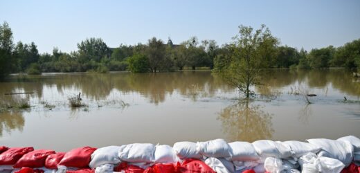 W starym mundurze na wałach. Nowe ustalenia RMF FM ws. zatrzymanych