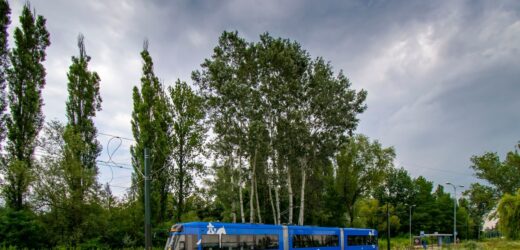Skok na miedź. Ukradli kable trakcji, nie kursują tramwaje