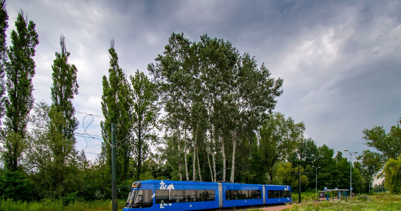 Skok na miedź. Ukradli kable trakcji, nie kursują tramwaje