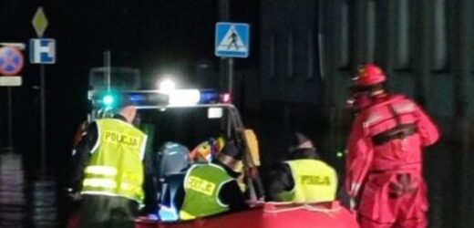 Jest już pierwszy wyrok w sprawie szabrownictwa