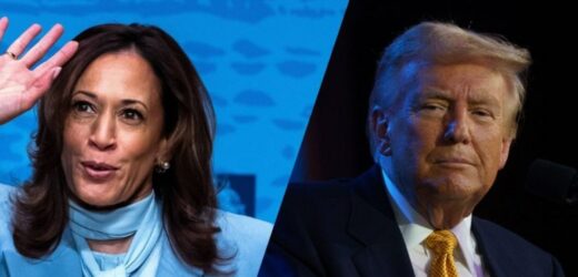 Trump kontra Harris. Można już głosować w pierwszych trzech stanach w USA