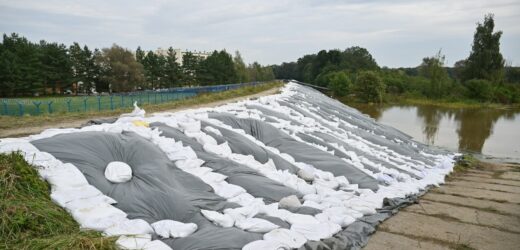 Udawał żołnierza i siał dezinformację na wałach. 26-latek z zarzutami