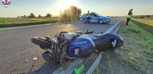 Motocyklista zderzył się z łosiem. 38-latek nie żyje