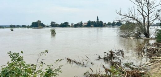 Fala kulminacyjna w Lubuskiem. Dwie miejscowości koło Krosna Odrzańskiego zalane
