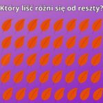 Test na spostrzegawczość: Który liść różni się od pozostałych?