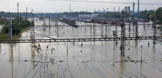 Ścieki z Ostrawy kolejny dzień płyną Odrą. Prezes Wód Polskich uspokaja