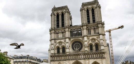 Macron zakazał fotografowania wnętrza katedry Notre-Dame? We Francji zawrzało
