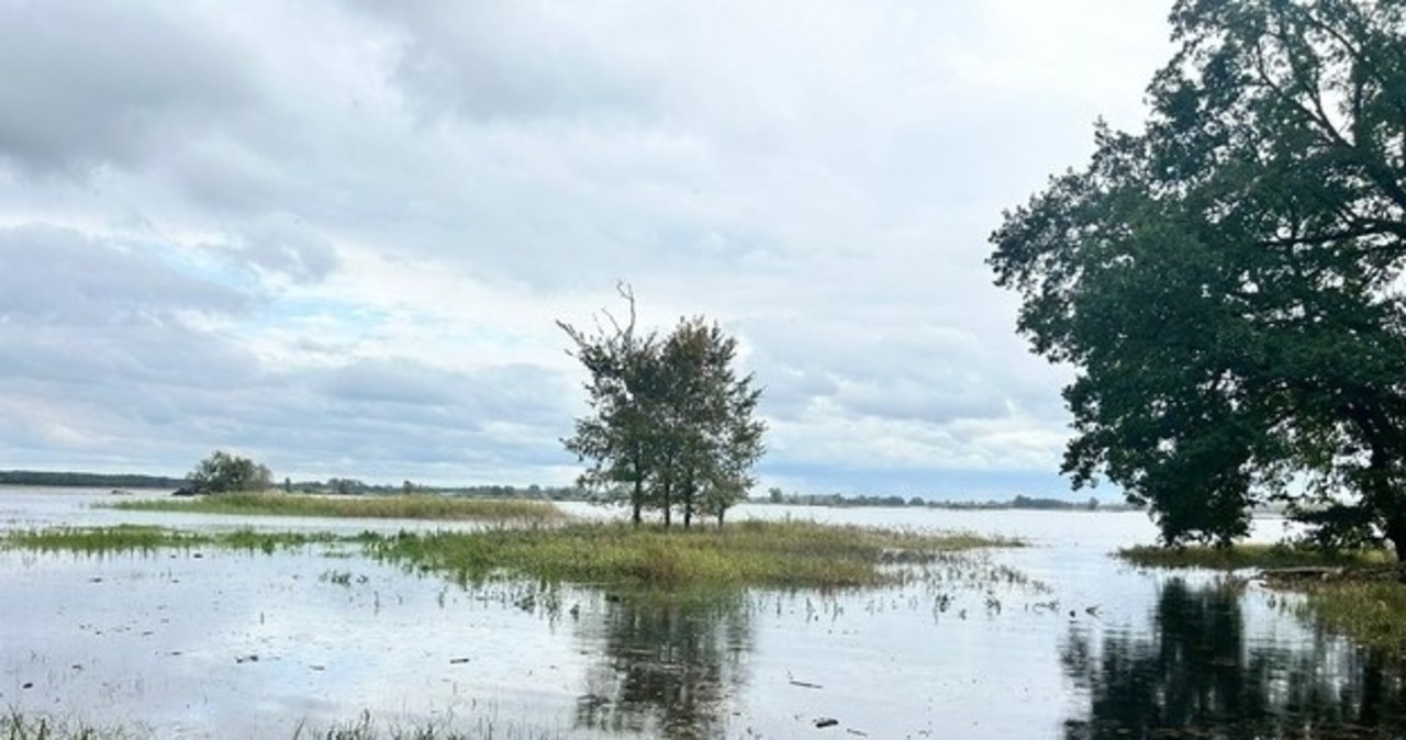 Duże spadki wody w Krośnie Odrzańskim. Fala zbliża się do Kostrzyna nad Odrą