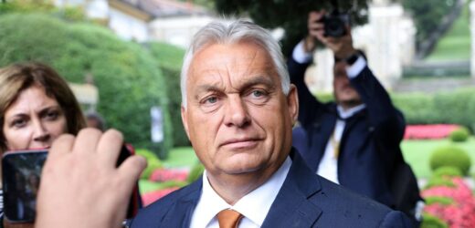 Doradca Orbana: Zełenski postąpił nieodpowiedzialnie. My nie walczylibyśmy z Rosją