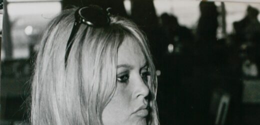 Brigitte Bardot kończy 90 lat