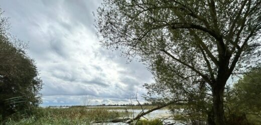 Zachodniopomorskie: Stany alarmowe w Gozdowicach i Bielinku