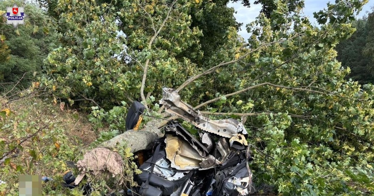 Kierowca audi z impetem uderzył w drzewo. Auto rozerwane na pół