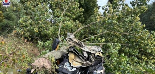 Kierowca audi z impetem uderzył drzewo. Auto rozerwane na pół