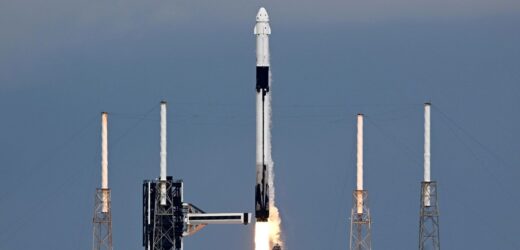 Wielki sukces Space X. Rakieta Crew-9 poleciała w kosmos