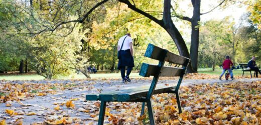Deszcz, chmury i przygruntowe przymrozki. Nowy tydzień w pogodzie