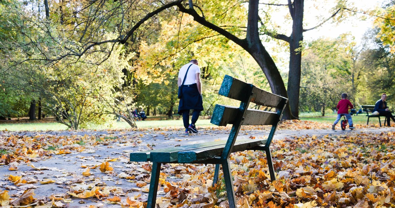 Deszcz, chmury i przygruntowe przymrozki. Nowy tydzień w pogodzie