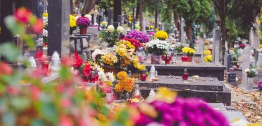 Włóż do zamrażarki, zanim pójdziesz na cmentarz. Znicze będą palić się godzinami