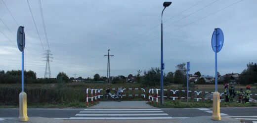 4-latek śmiertelnie potrącony na pasach. Policja prosi o pomoc