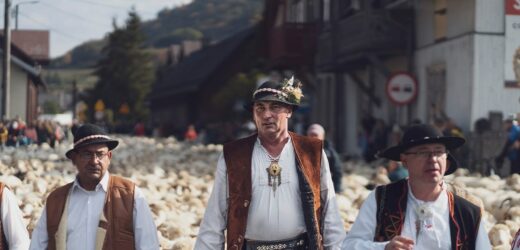 Redyk Jesienny w Szczawnicy
