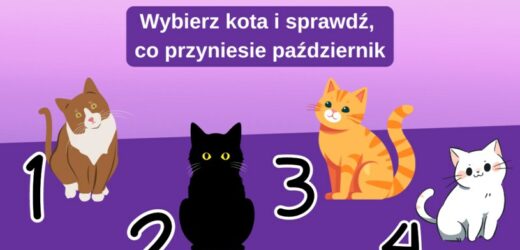 Co przyniesie październik? Sprawdź to w naszym psychoteście
