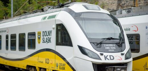 Pociągi ostrzelane z wiatrówki i obrzucone kamieniami