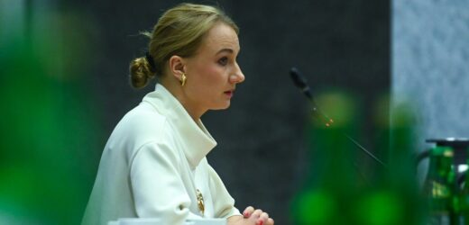 Dorota Brejza: Służby użyły Pegasusa i zostały z niczym