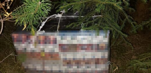 Zatrzymano dwóch Litwinów. Próbowali przemycić papierosy balonem