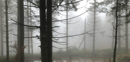 Ślisko, mgliście i zimno. Trudne warunki w Beskidach