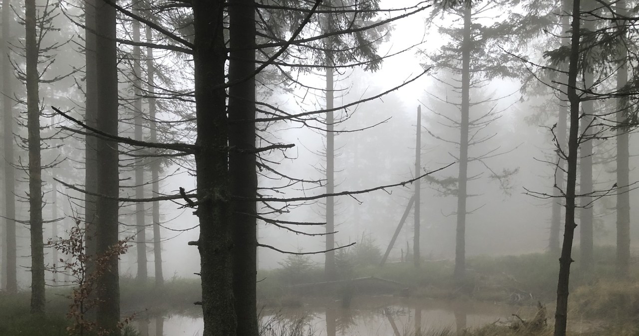 Ślisko, mgliście i zimno. Trudne warunki w Beskidach