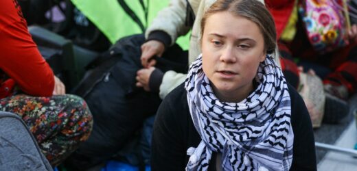 Greta Thunberg zatrzymana podczas protestu w centrum Brukseli
