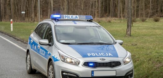 Skrzynia z materiałami pirotechnicznymi w lesie. Poinformowano wojsko i ABW