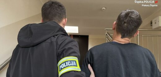 Potrącił policjantów podczas kontroli. Odpowie za usiłowanie zabójstwa