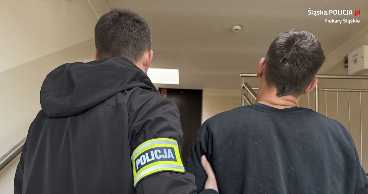 Potrącił policjantów podczas kontroli. Odpowie za usiłowanie zabójstwa