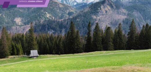 Podróże osobiste: „Jeden z najpiękniejszych widoków na Tatry”. Miejsce stało się już kultowe