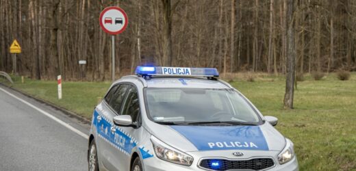 Samolot spadł na ziemię. Incydent lotniczy na podpoznańskim lądowisku