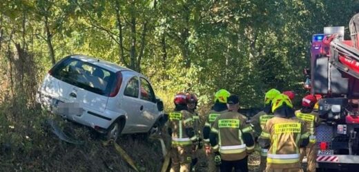 Pijana 27-latka zakończyła jazdę na drzewie