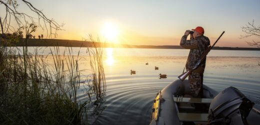 ​Do tych ptaków myśliwi nie będą mogli strzelać. 7 gatunków na liście