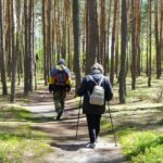 Wchodzą pod powieki i do uszu, a potem boleśnie gryzą. Uważaj podczas spaceru w lesie