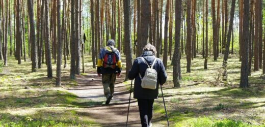 Wchodzą pod powieki i do uszu, a potem boleśnie gryzą. Uważaj podczas spaceru w lesie