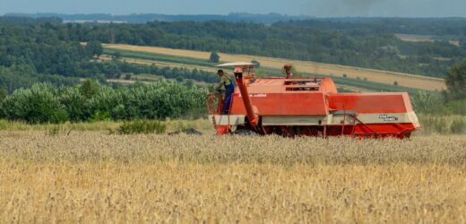 Afera zbożowa. Rzeszowska prokuratura wydała nowy komunikat