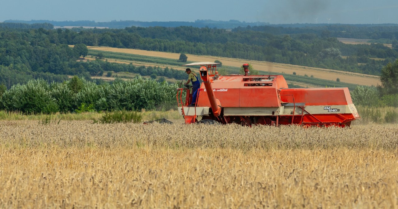 Afera zbożowa. Rzeszowska prokuratura wydała nowy komunikat