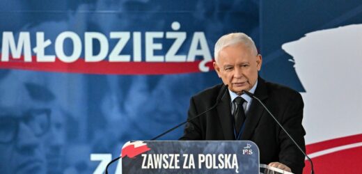 Kaczyński na kongresie PiS: Będziemy musieli, tak jak w 2015 r., gryźć trawę