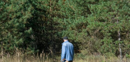 ​Co zrobić, gdy zgubisz się w lesie. Poradnik nie tylko dla grzybiarzy