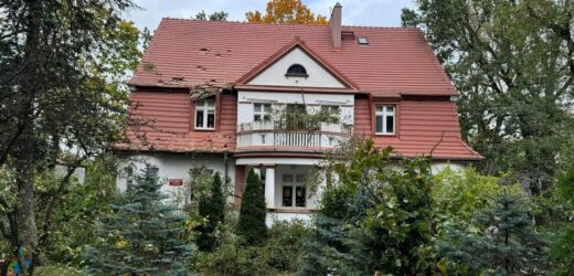 Drzewa przewróciły się na dach przedszkola w Zielonej Górze