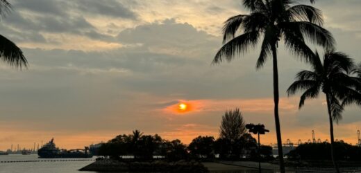 Singapur w ekstremalnej odsłonie. „Azjatycka Energylandia” zachwyca na wiele sposobów