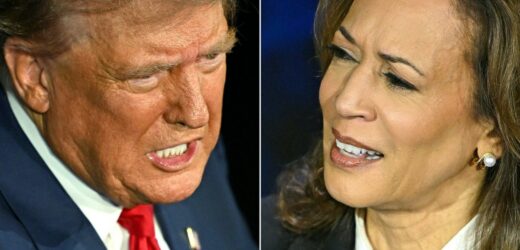 Harris czy Trump? Są wyniki najnowszego sondażu