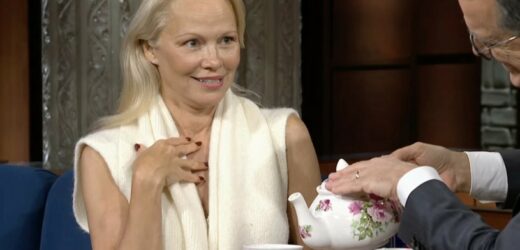 Pamela Anderson niczym Królowa Śniegu. Ta stylizacja przyciąga wzrok